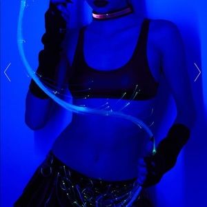 Cyberdog LED Whip NWT